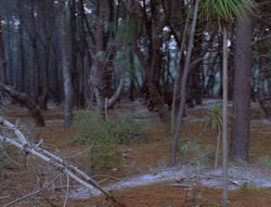 extant_XenaWarriorPrincess_6x07-TheRheingold_0957