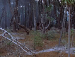 extant_XenaWarriorPrincess_6x07-TheRheingold_0958