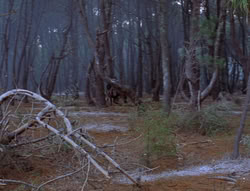 extant_XenaWarriorPrincess_6x07-TheRheingold_0959