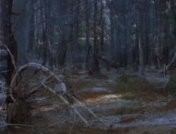 extant_XenaWarriorPrincess_6x07-TheRheingold_0961