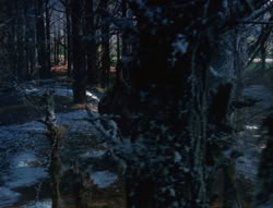 extant_XenaWarriorPrincess_6x07-TheRheingold_0967