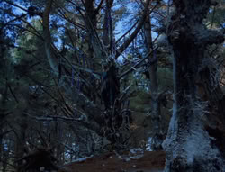 extant_XenaWarriorPrincess_6x07-TheRheingold_0973