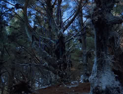 extant_XenaWarriorPrincess_6x07-TheRheingold_0974