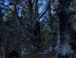 extant_XenaWarriorPrincess_6x07-TheRheingold_0976