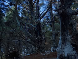 extant_XenaWarriorPrincess_6x07-TheRheingold_0977