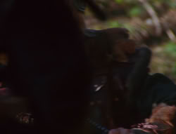 extant_XenaWarriorPrincess_6x07-TheRheingold_1234