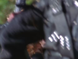 extant_XenaWarriorPrincess_6x07-TheRheingold_1235