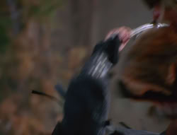 extant_XenaWarriorPrincess_6x07-TheRheingold_1241