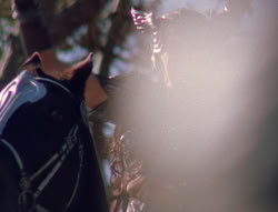 extant_XenaWarriorPrincess_6x07-TheRheingold_1263