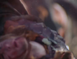 extant_XenaWarriorPrincess_6x07-TheRheingold_1279