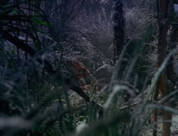 extant_XenaWarriorPrincess_6x07-TheRheingold_1535