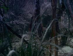 extant_XenaWarriorPrincess_6x07-TheRheingold_1542