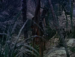 extant_XenaWarriorPrincess_6x07-TheRheingold_1544