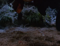 extant_XenaWarriorPrincess_6x07-TheRheingold_1600