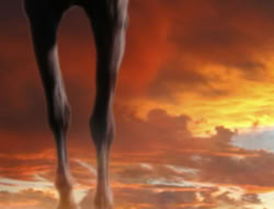 extant_XenaWarriorPrincess_6x07-TheRheingold_2005