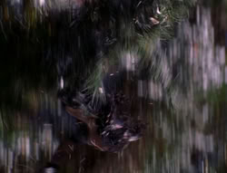 extant_XenaWarriorPrincess_6x07-TheRheingold_2177
