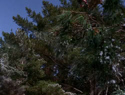 extant_XenaWarriorPrincess_6x07-TheRheingold_2178