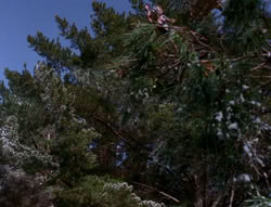 extant_XenaWarriorPrincess_6x07-TheRheingold_2179