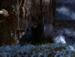 extant_XenaWarriorPrincess_6x07-TheRheingold_2185