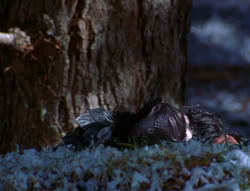 extant_XenaWarriorPrincess_6x07-TheRheingold_2186