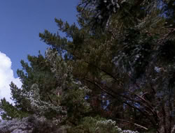extant_XenaWarriorPrincess_6x07-TheRheingold_2189