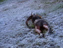 extant_XenaWarriorPrincess_6x07-TheRheingold_2223