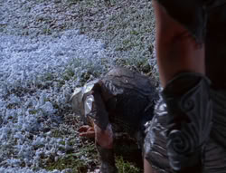 extant_XenaWarriorPrincess_6x07-TheRheingold_2239