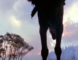 extant_XenaWarriorPrincess_6x07-TheRheingold_2286