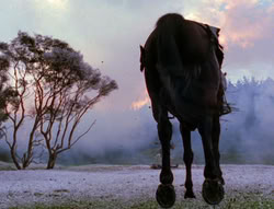 extant_XenaWarriorPrincess_6x07-TheRheingold_2290
