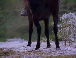 extant_XenaWarriorPrincess_6x07-TheRheingold_2308