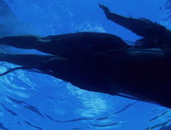 extant_XenaWarriorPrincess_6x07-TheRheingold_2333