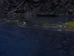 extant_XenaWarriorPrincess_6x07-TheRheingold_2409