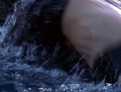 extant_XenaWarriorPrincess_6x07-TheRheingold_2455