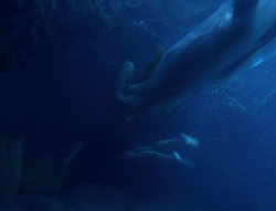 extant_XenaWarriorPrincess_6x07-TheRheingold_2494