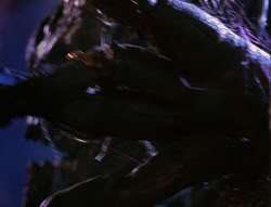 extant_XenaWarriorPrincess_6x07-TheRheingold_3100