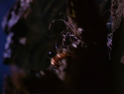 extant_XenaWarriorPrincess_6x07-TheRheingold_3102