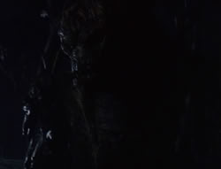 extant_XenaWarriorPrincess_6x07-TheRheingold_3116