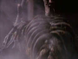 extant_XenaWarriorPrincess_6x07-TheRheingold_3175