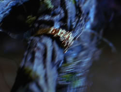 extant_XenaWarriorPrincess_6x07-TheRheingold_3210