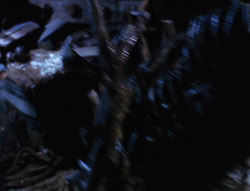 extant_XenaWarriorPrincess_6x07-TheRheingold_3240