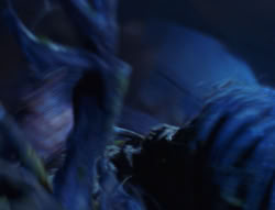 extant_XenaWarriorPrincess_6x07-TheRheingold_3311