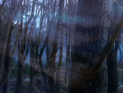 extant_XenaWarriorPrincess_6x08-TheRing_0069