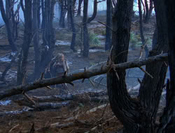 extant_XenaWarriorPrincess_6x08-TheRing_0080