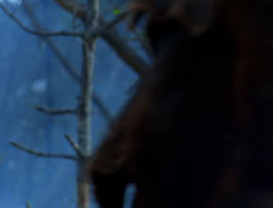 extant_XenaWarriorPrincess_6x08-TheRing_0101