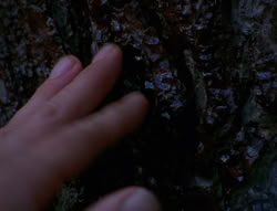 extant_XenaWarriorPrincess_6x08-TheRing_0103