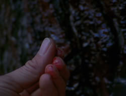 extant_XenaWarriorPrincess_6x08-TheRing_0104
