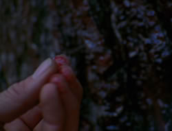 extant_XenaWarriorPrincess_6x08-TheRing_0105
