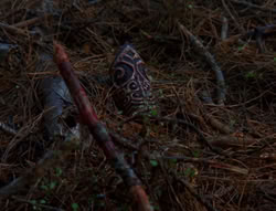 extant_XenaWarriorPrincess_6x08-TheRing_0123