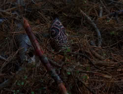 extant_XenaWarriorPrincess_6x08-TheRing_0124