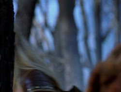 extant_XenaWarriorPrincess_6x08-TheRing_0161